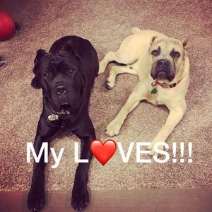 Meet your Posher, Timmi